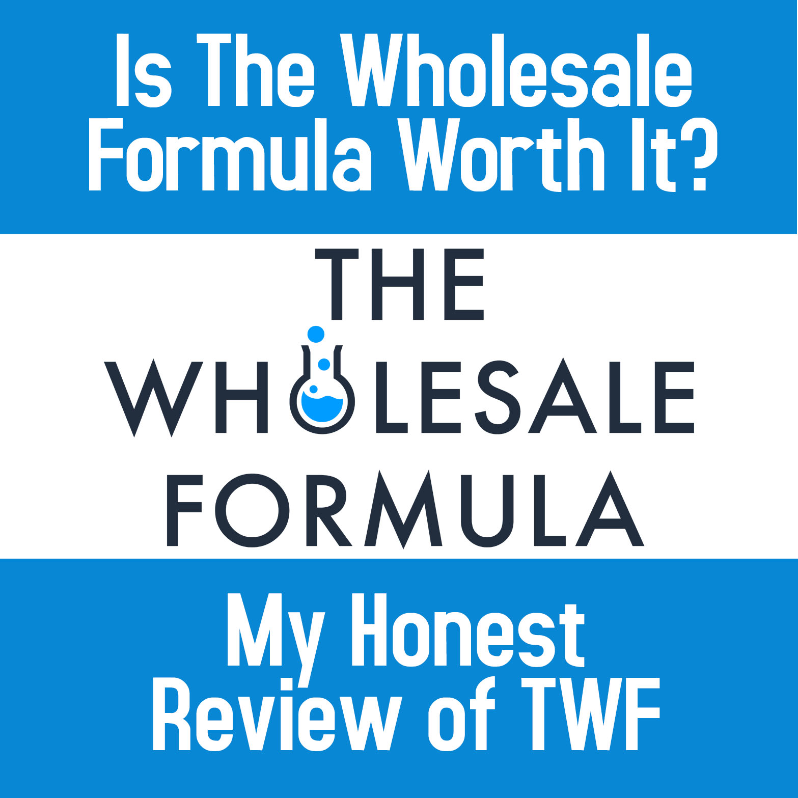 the wholesale formula course review